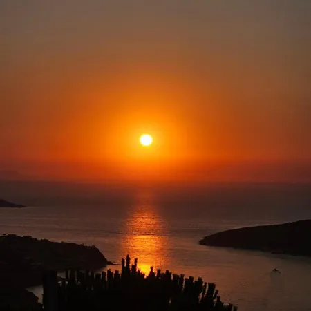 Sunset *